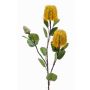 Fleur artificielle Banksia robur CONAKIR, jaune, 70cm