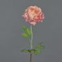Renoncule artificielle ELORIO, rose-crème, 50cm, Ø10cm