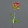 Renoncule artificielle ELORIO, fuchsia-vert, 50cm, Ø10cm