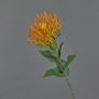 Coussin à épingles artificiel Protea HERVAS, orange, 70 cm, Ø 12 cm