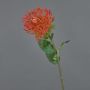 Coussin à épingles en fleur artificielle Protea HERVAS, rouge-orange, 70 cm, Ø 12 cm
