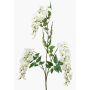 Branche de glycine artificielle ONORATO avec fleurs, crème, 70 cm