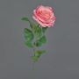 Fleur artificielle Rose PEZOS, rose-fuchsia, 60 cm, Ø 10 cm