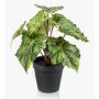 Plante artificielle bégonia à feuilles MEIRA, vert-noir, 25cm