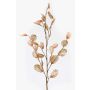 Branche artificielle Lunaria BUELNA, marron clair, 105cm