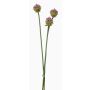 Bouquet de fleurs d'allium artificielles LAMDA, violet-vert, 65 cm, Ø 4 cm
