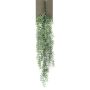 Plante artificielle succulente Rhipsalis suspendue TUREIS, tige, vert-gris, 70cm