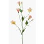 Branche artificielle Lisianthus PAZAN, rose-crème, 70cm, Ø3-5cm