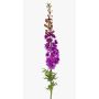 Grande fleur artificielle de delphinium SZILVIA, lilas, 130cm