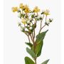 Branche décorative de millepertuis CANNO avec fleurs et fruits, jaune-blanc, 65cm, Ø3cm
