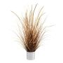 Herbe décorative Carex WARTO dans un cache-pot en mélamine, panicules, brun-beige, 75cm