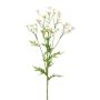 Rameau décoratif de camomille GRUHEL, blanche, 60cm, Ø2cm