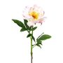 Fleur en plastique Pivoine PEFIN, rose, 50cm