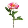 Fleur en plastique Pivoine PEFIN, rose fuchsia, 50cm