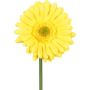 Fleur décorative Gerbera TUNZA, jaune, 50cm