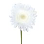 Fleur décorative Gerbera TUNZA, blanc, 50cm