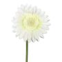Fleur décorative Gerbera TUNZA, crème, 50cm