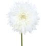 Fleur décorative Gerbera MOLZA, blanc, 60cm