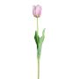 Fleur décorative Tulipe perroquet SOLAL, rose, 65cm