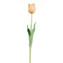 Fleur décorative Tulipe perroquet SOLAL, abricot, 65cm