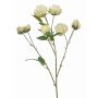 Branche synthétique de rose chou TRUVOL, blanc-vert, 65cm, Ø2-6cm
