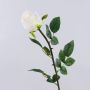 Rose artificielle SUNJIK, crème, 75 cm, Ø 7 cm