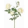 Branche de rose synthétique DIAMANTIS, crème, 70cm, Ø5-8cm