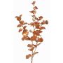 Branche d'eucalyptus synthétique MALFHY, cuivre métallisé, 75cm
