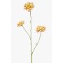 Branche décorative de scabieuse DIHALLY, jaune-pêche, 80cm, Ø8-9cm