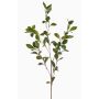 Rameau décoratif de houx LOVRIS avec fleurs, vert-jaune, 90cm