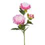 Branche artificielle Pivoine SLORMEK, rose-blanc, 65cm
