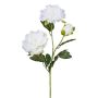 Branche artificielle Pivoine SLORMEK, blanc, 65cm