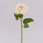 Rose synthétique WINAKAS, crème-abricot, 35cm, Ø10cm