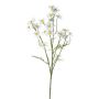 Branche de fleurs artificielles Camomille WISOP, blanc, 75cm