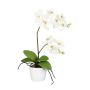 Orchidée Phalaenopsis en tissu MORLEK, pot en céramique, racines, crème, 60cm