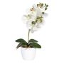 Orchidée Phalaenopsis en tissu DRINTOR, pot en céramique, racines, blanc-vert, 40cm