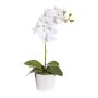 Orchidée Phalaenopsis en tissu TRALKE, pot décoratif, racines, blanc, 40cm