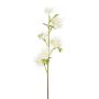 Branche décorative Chardon boule ZORLIM, blanc, 55cm