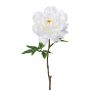 Fleur en plastique Pivoine GLOUT, blanc, 65cm