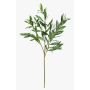 Branche d'olivier synthétique BRANDAR, crossdoor, verte, 70cm
