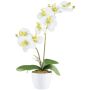 Orchidée Phalaenopsis en tissu KRUZBER, pot en céramique, racines, blanc-vert, 55cm