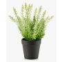 Bruyère artificielle ELSAWO dans un pot décoratif, Crossdoor, blanc-vert, 30cm