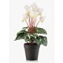 Cyclamen synthétique VERIANA dans un pot décoratif, blanc-vert, 30cm