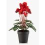 Cyclamen artificiels VERIANA dans un pot décoratif, rouge, 30cm