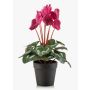 Cyclamen synthétiques VERIANA dans un pot décoratif, fuchsia, 30cm