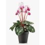 Cyclamen synthétiques VERIANA dans un pot décoratif, blanc-fuchsia, 30cm