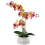 Orchidée Phalaenopsis en tissu BLORVEN, coupe en ciment, racines, jaune-rose fuchsia, 50cm