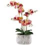Orchidée Phalaenopsis en tissu BLORVEN, coupe en ciment, racines, jaune-rose fuchsia, 55cm