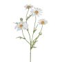 Branche artificielle Marguerite CLUVE, blanc, 60cm