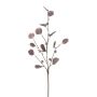 Branche décorative d'eucalyptus TRAVON avec des fruits, aubergine, 75cm